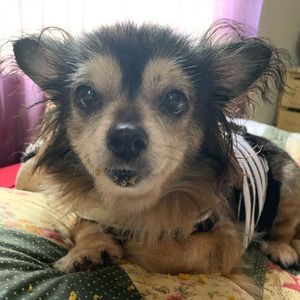 Meet your Posher, Lateshia